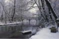 Poema: O Inverno